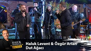 Özgür Arian & Haluk Levent - DUT AĞACI