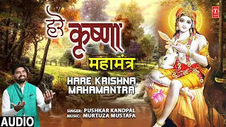 हरे कृष्णा महामंत्र Hare Krishna Mahamantra I Krishna Bhajan I PUSHKAR KANDPAL I Full Audio Song