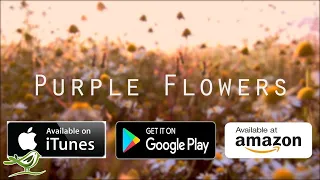 &quot;Purple Flowers&quot; - Relaxing Harp Music Album