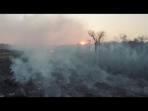 Youtube Preview