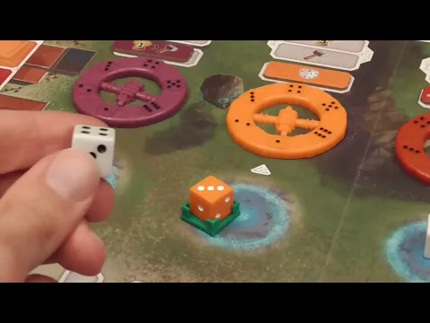 Video Review
