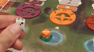 Video Review