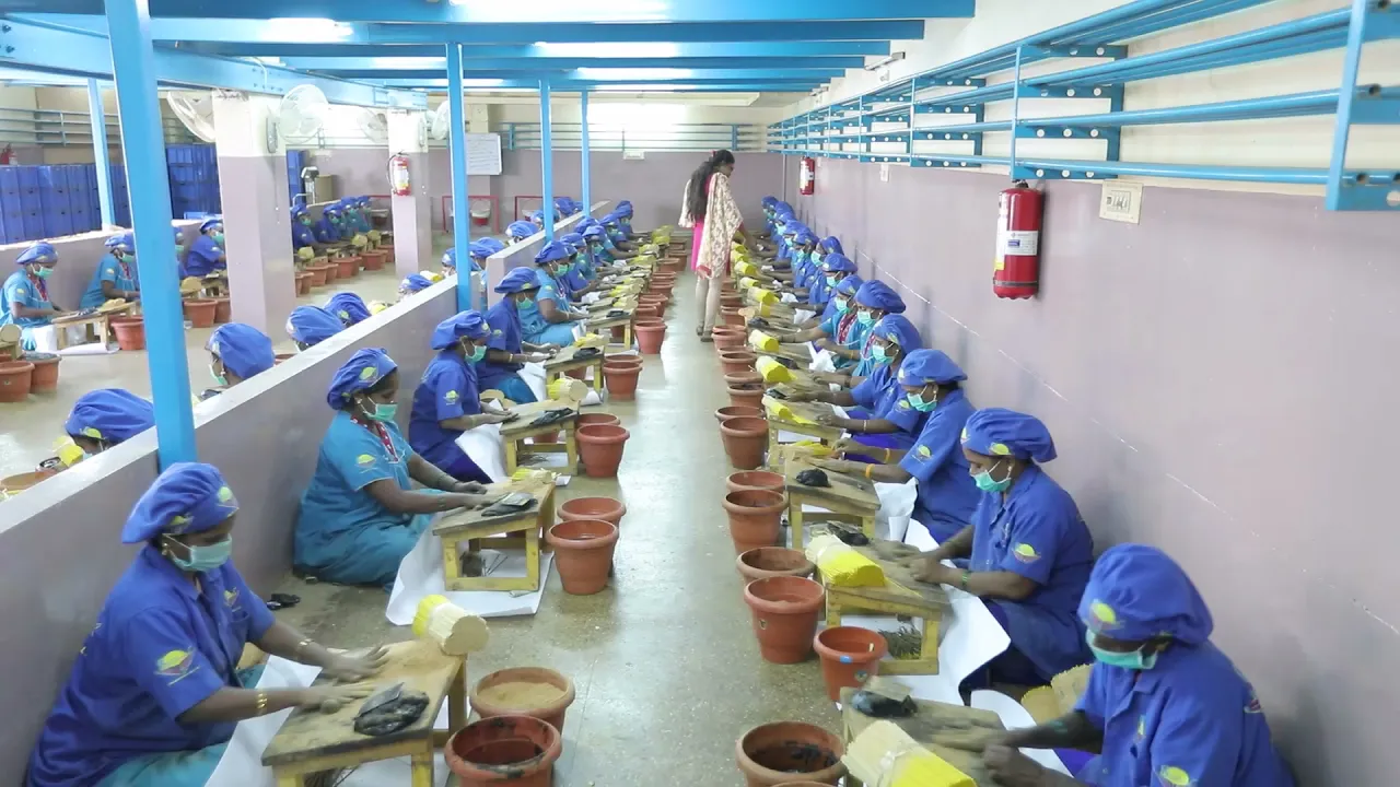 Video de Encantos do Mundo