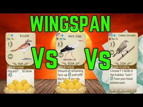 Killdeer vs White Stork vs Chiffchaff: Wingspan Board Game