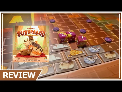 Purrramid Review - Can't Stop Stacking Up Cats
