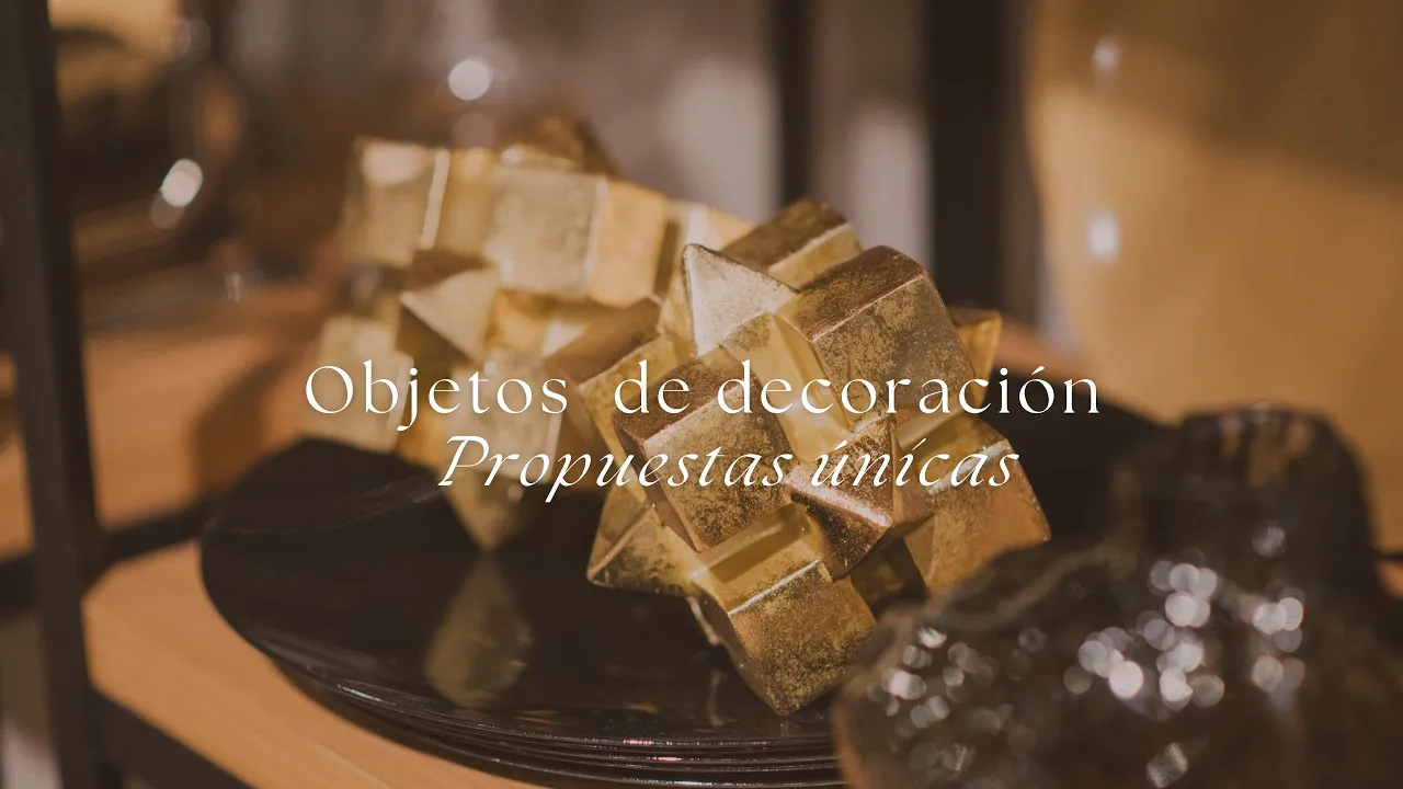 Video de Caro Silva Bertolo