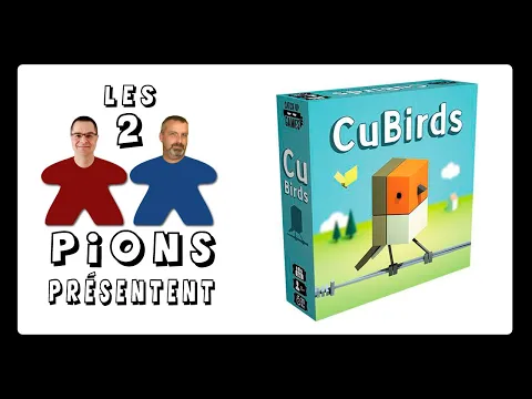 CuBirds - Présentation et opinion