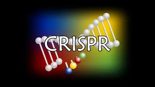 CRISPR Overview 2 1