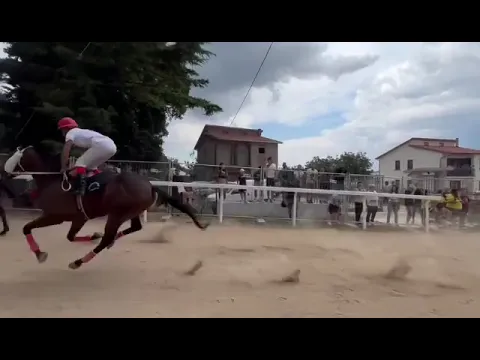 Palio delle Quercigliole a Ripalimosani