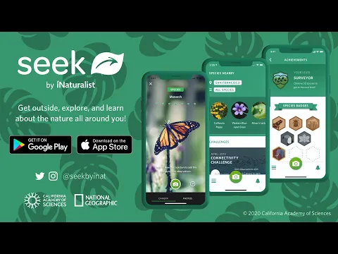 Vidéo de Seek