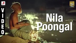 Thenmaavin Kombathu - Nila Poongal Malayalam Song Video | Mohanlal, Shobana