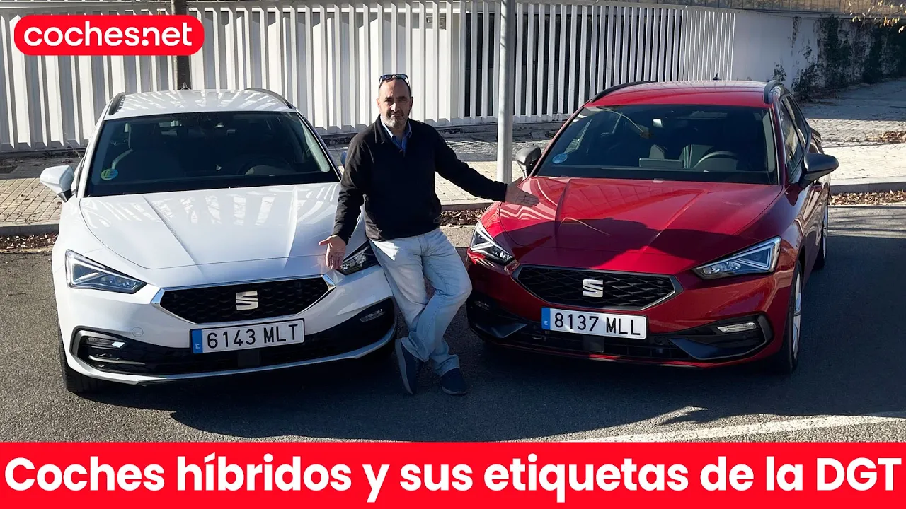 Etiquetas de la DGT: ¿Cual corresponde a cada tipo de coche? 🤔 | coches.net