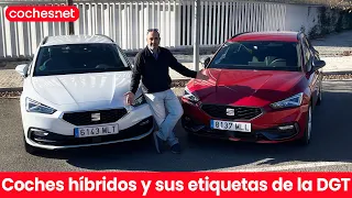 Etiquetas de la DGT: ¿Cual corresponde a cada tipo de coche? 🤔 | coches.net