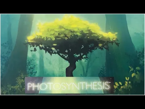 Photosynthesis
