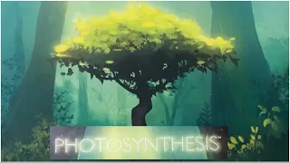 Photosynthesis
