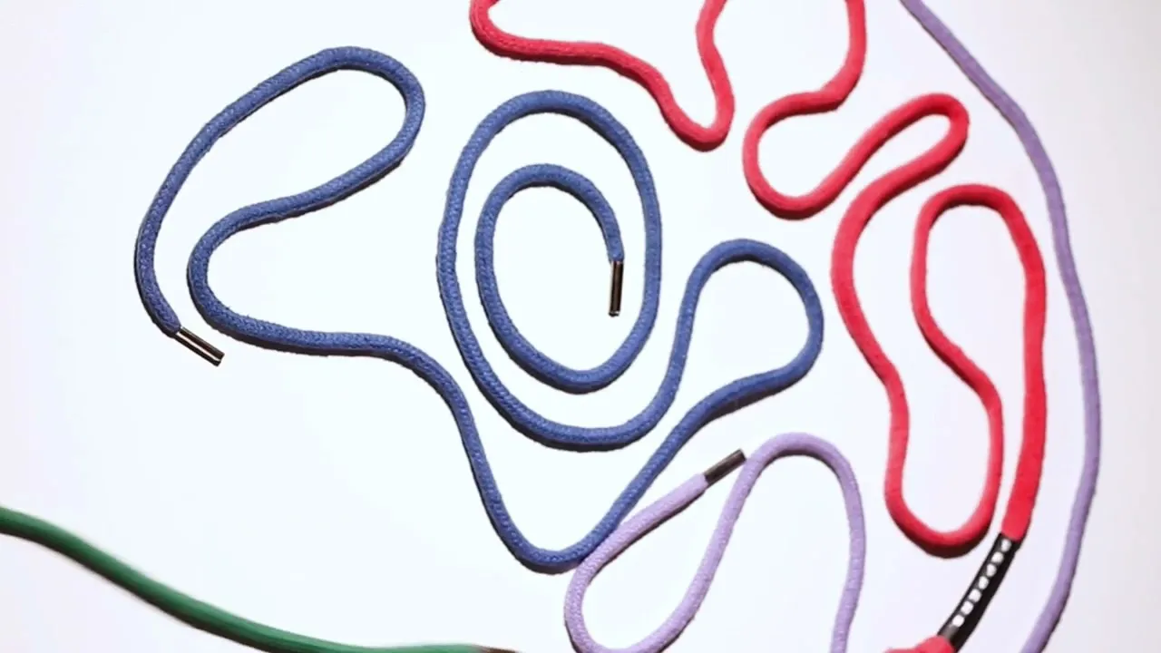 Video de Avios Textiles