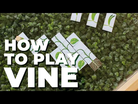 How To Play Vine