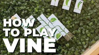 How To Play Vine