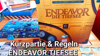 Kurzpartie ENDEAVOR: DIE TIEFSEE // #brettspielvibes
