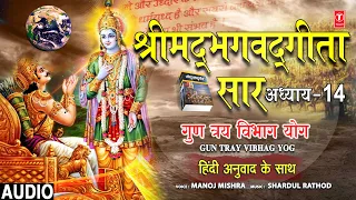 श्रीमद्भगवद्गीता सार: अध्याय 14 | Gun Tray Vibhag Yog | Shrimad Bhagwad Geeta Saar | MANOJ MISHRA