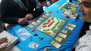 CVF2023: Saladin. Dracoideas