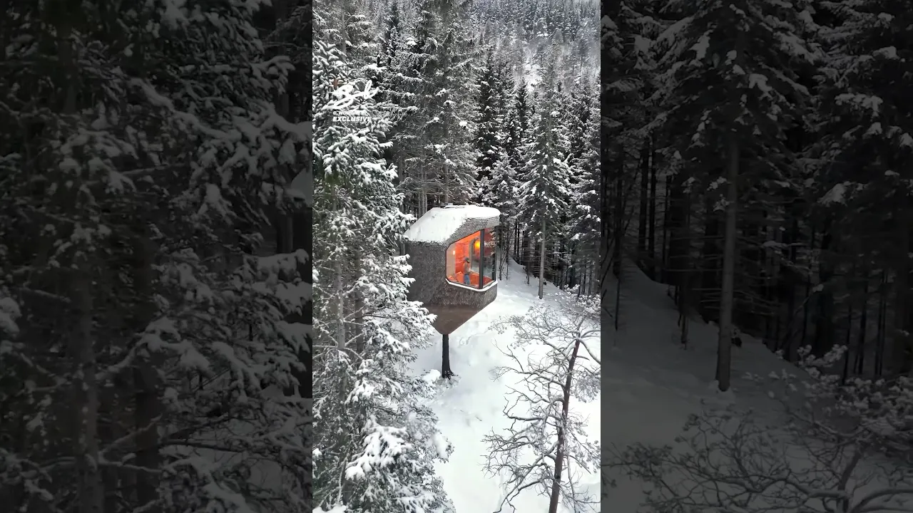 This isn't your average treehouse 😍 #luxury #airbnb #hotel