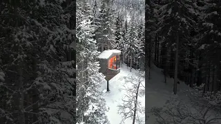 This isn't your average treehouse 😍 #luxury #airbnb #hotel