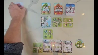 Twittens: A quick guide to playing