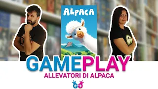 Alpaca, Partita Completa nella sofficiosità più assoluta!