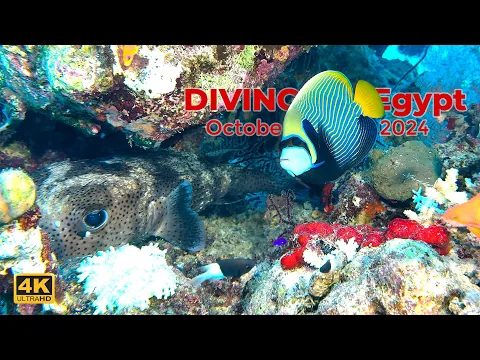 youtube-video-thumbnail