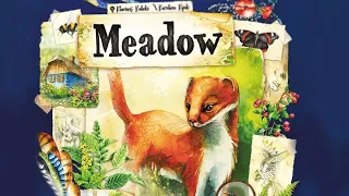 Meadow Board Game Review | The Game Warrior | December 28, 2022