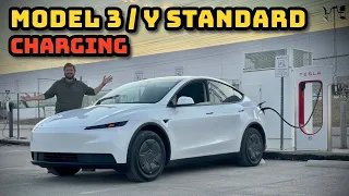 Tesla Model 3/Y Standard (69.5kWh) Charging Analysis!