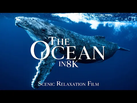 youtube-video-thumbnail