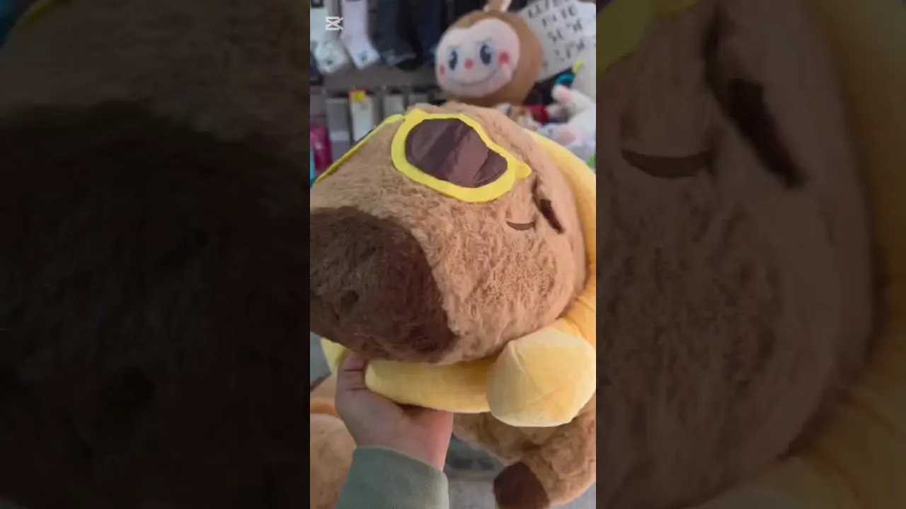 Video de Mayorista Fashion Invicta