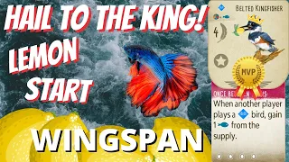 Kingfisher Makin That Lemonade! Wingspan Gameplay Competitive Elo