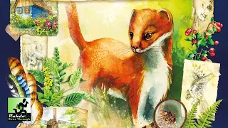 Meadow Gameplay Runthrough