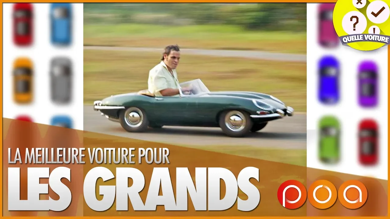 QUELLE VOITURE  POUR UN GRAND ?