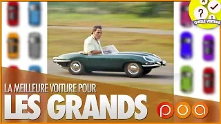 QUELLE VOITURE  POUR UN GRAND ?