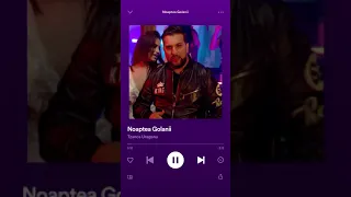 Tanca Uraganu - Noaptea golanii