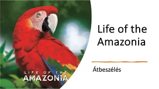 Life of the Amazonia - Átbeszélés