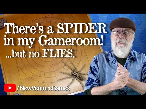 A Spider In My GameRoom! And flies, too, in this 130-year old board game.