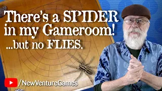 A Spider In My GameRoom! And flies, too, in this 130-year old board game.