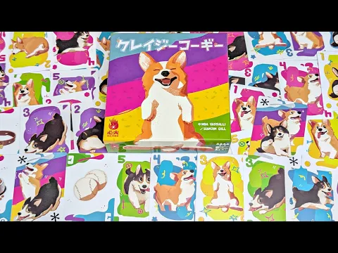 Noa Vassalli's Crazy Corgi, SYNKA Games