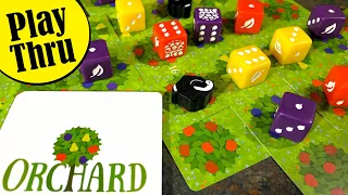 ORCHARD 9 Card Solitaire Game Unboxing, Set Up and Solo Play Through