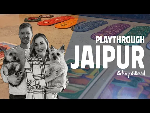 Jaipur Board Game | Playthrough and Review