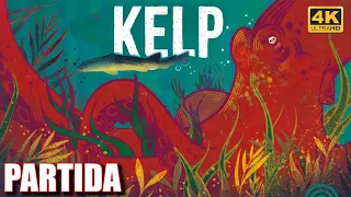 Kelp: Tiburón vs. Pulpo | Partida