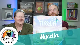 Wir zeigen euch: Mycelia
