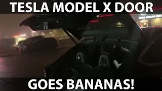 Model X back door goes bananas