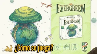 EVERGREEN - ¿Cómo se juega? - Tutorial en español