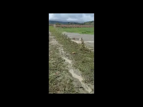<span style="color:var(--accent)">Video:</span> Alluvione e grandine: danni all’agricoltura a Tursi